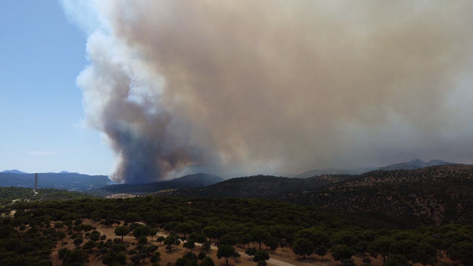 EN DIRECT, incendies : plus de 4 800 hectares brûlés en Gironde, où près de 20 000 personnes sont évacuées et des habitations touchées - Le