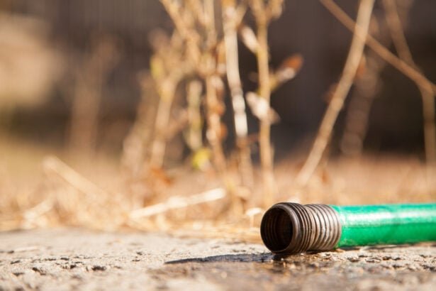 Après un printemps déjà sec, plusieurs départements viennent de durcir leur dispositif sécheresse, avec des conséquences très concrètes pour