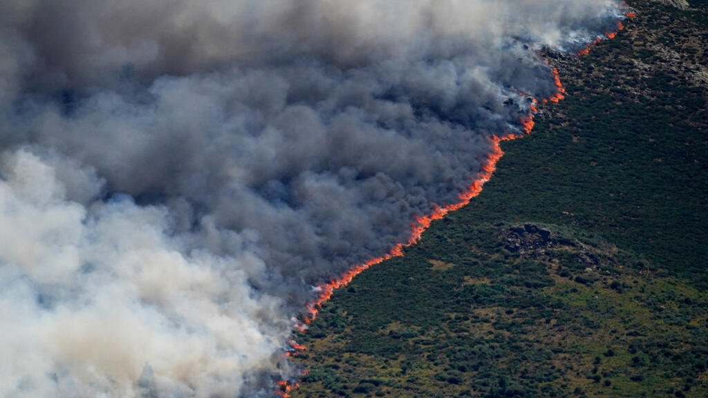 incendies : plus de 3 700 hectares brûlés en Gironde, où près de 20 000 personnes sont évacuées et des habitations touchées - Le Monde.fr. o