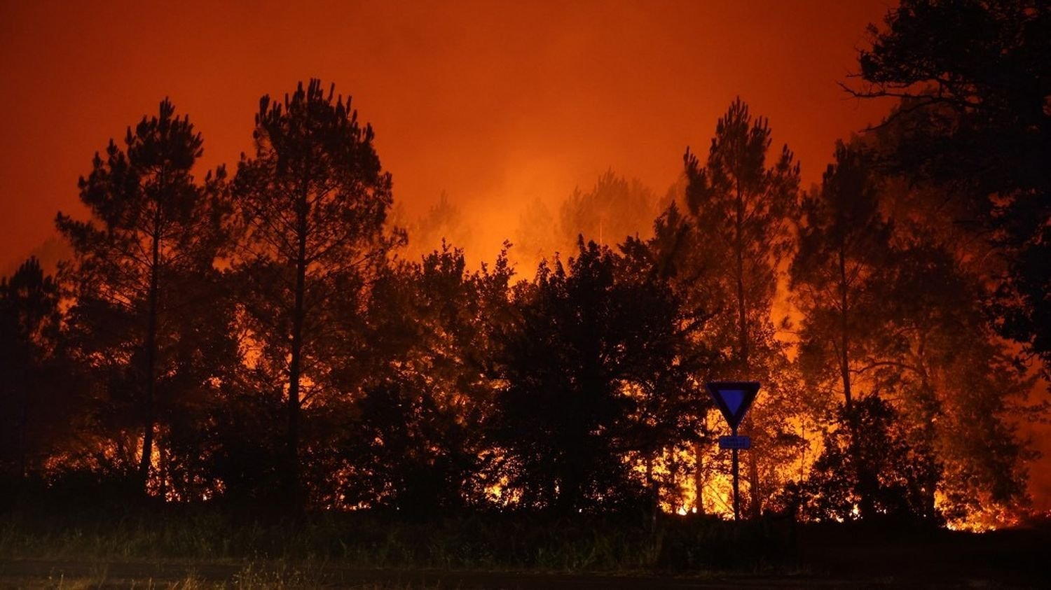 franceinfoIl y a 0 sec#INCENDIES Le feu très virulent qui sévit depuis hier près du bassin d'Arcachon (Gironde) a désormais parcouru quelque
