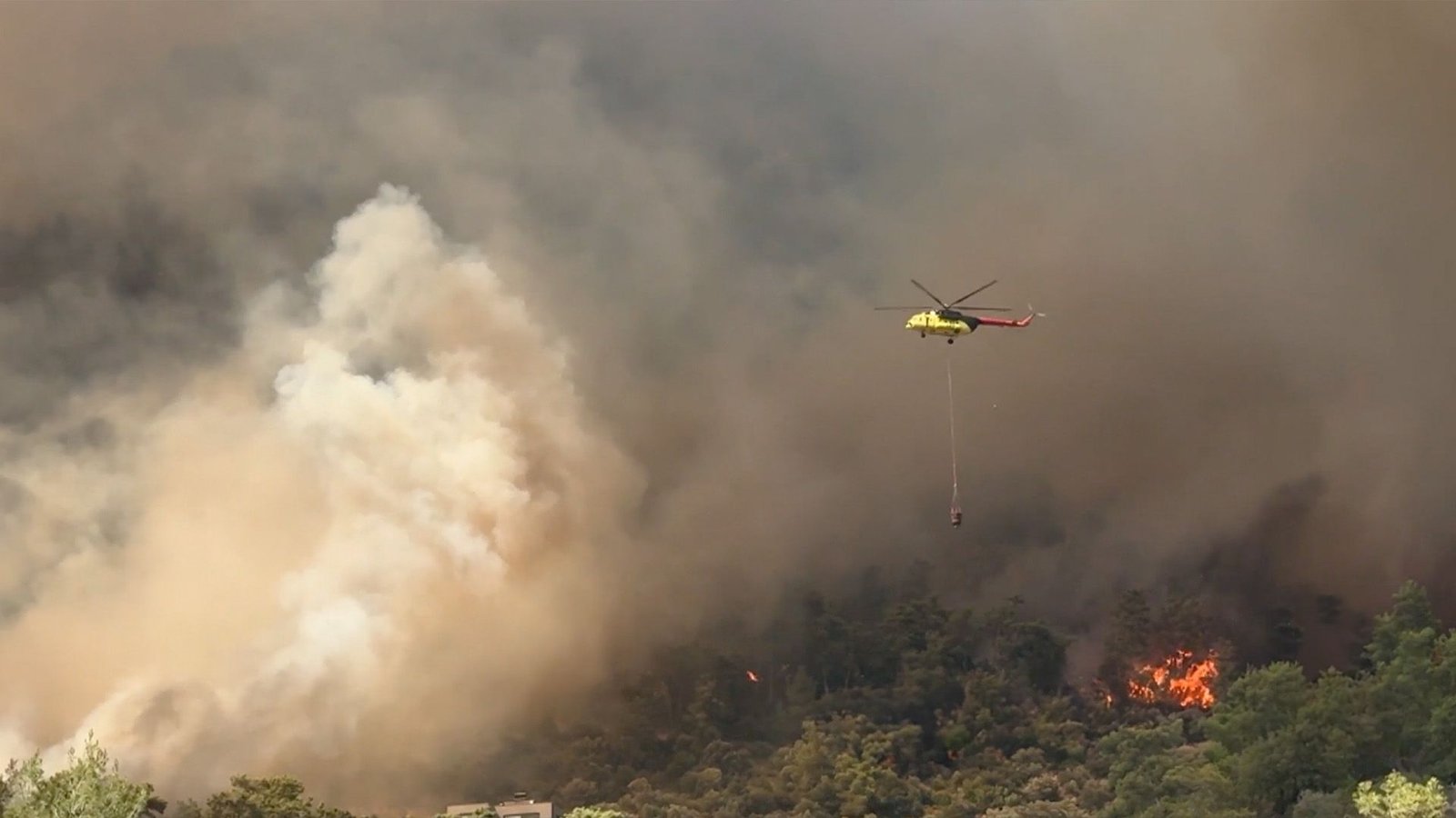 Sixth generation fires are devouring Mediterranean forests. Al Jazeera’s report explained that temperatures in the Mediterranean basin are r
